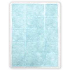 Ecoair FDE-100003 Dd1 Mini Filter 4 In 1 Anti Allergen | Deodorisation | Anti Bacterial | Dust Filtr